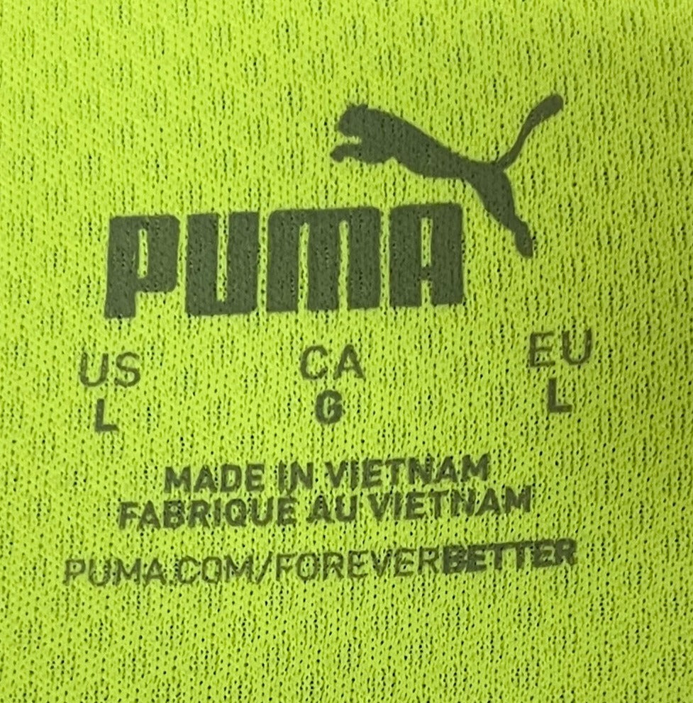 Puma Borussia Dortmund Third Kit 2021-22